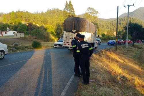 Más filtros de seguridad para evitar tala clandestina en Ocuilan